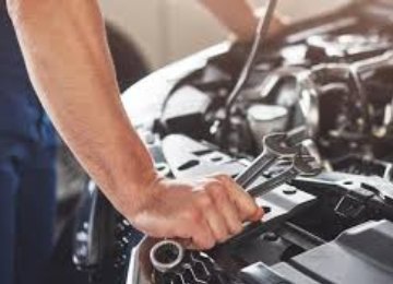 Our Services